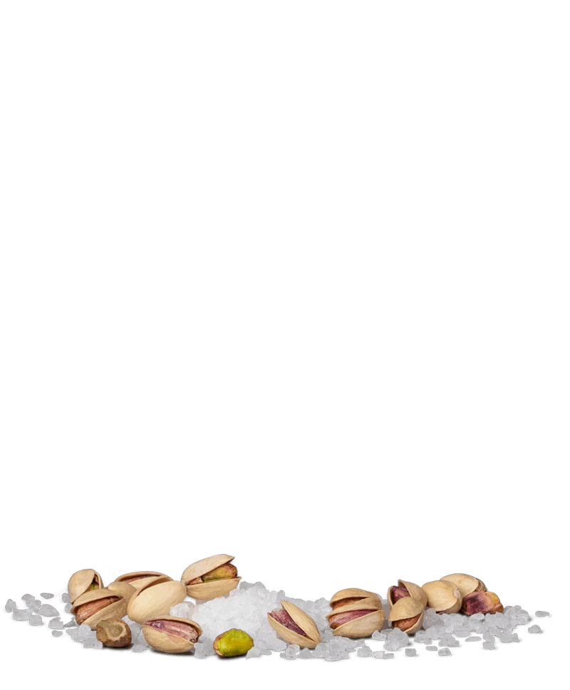 gesalzene-pistazien-kaufen