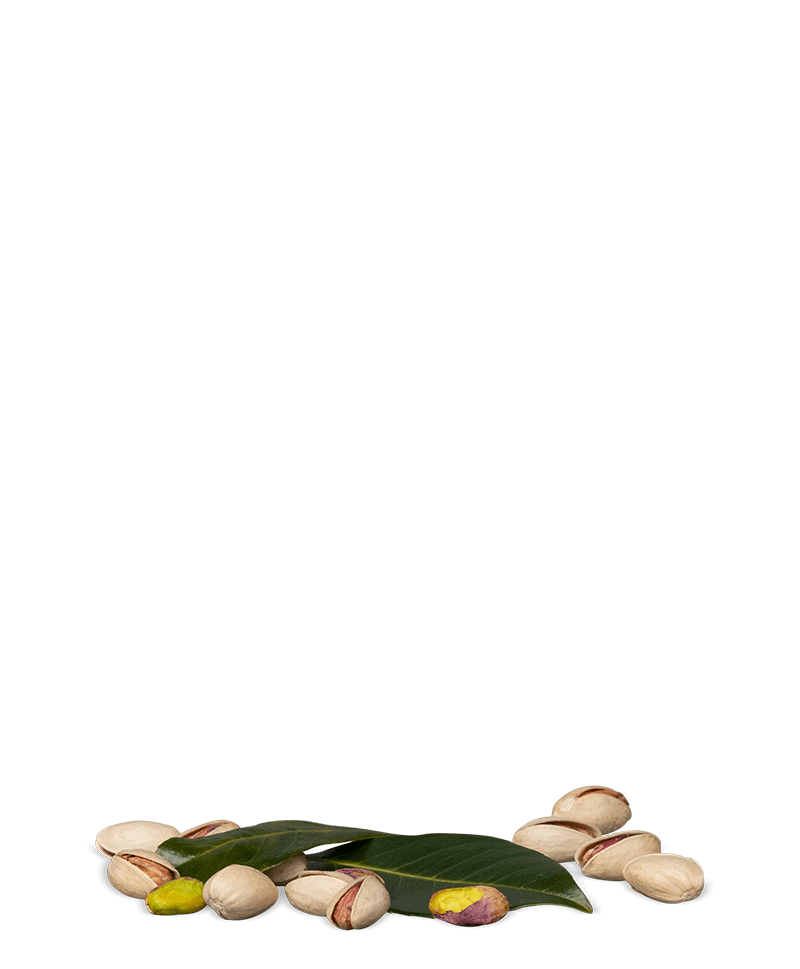 pistazien-natur-kaufen