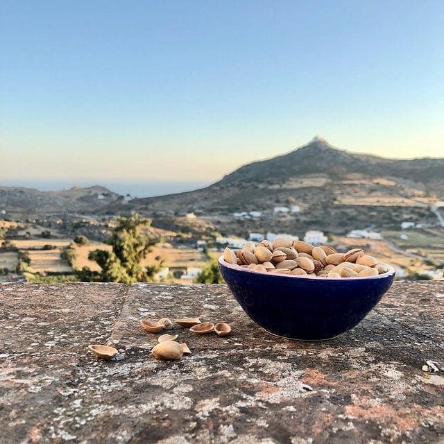 iran-pistazien-online-bestellen