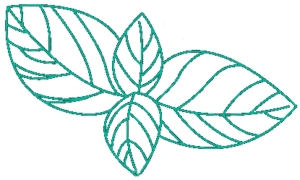 pistazien-pesto-mit-basilikum-rezept